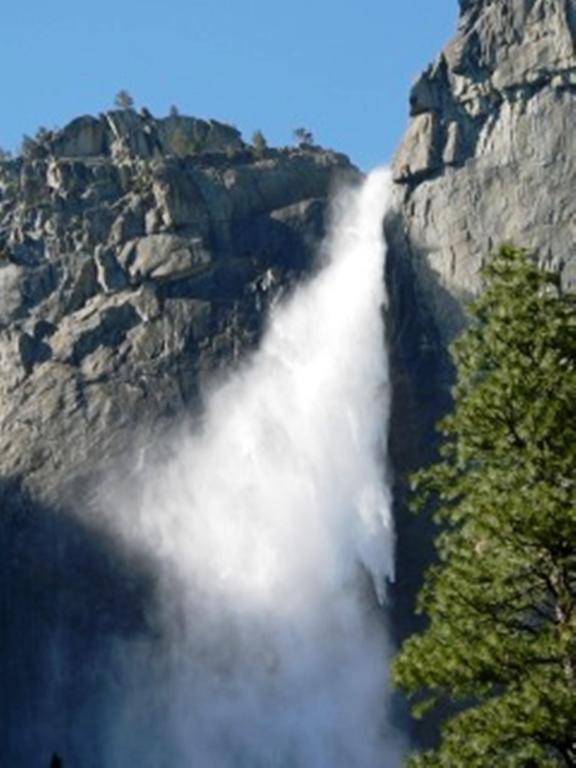 Yosemite Condominium Yosemite West Bagian luar foto