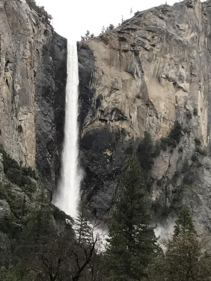Yosemite Condominium Yosemite West Bagian luar foto