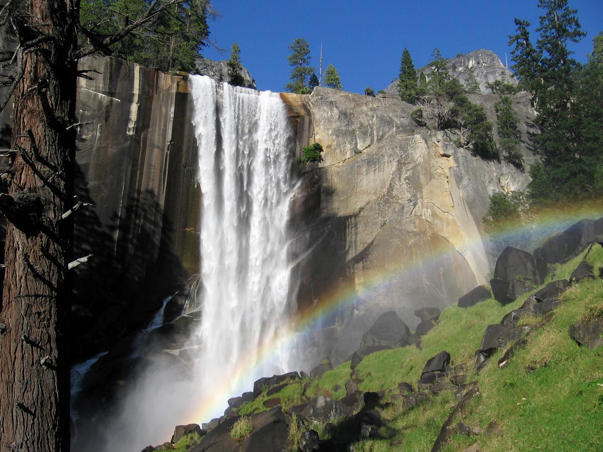 Yosemite Condominium Yosemite West Bagian luar foto